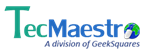 Tecmaestro It Services - Logo