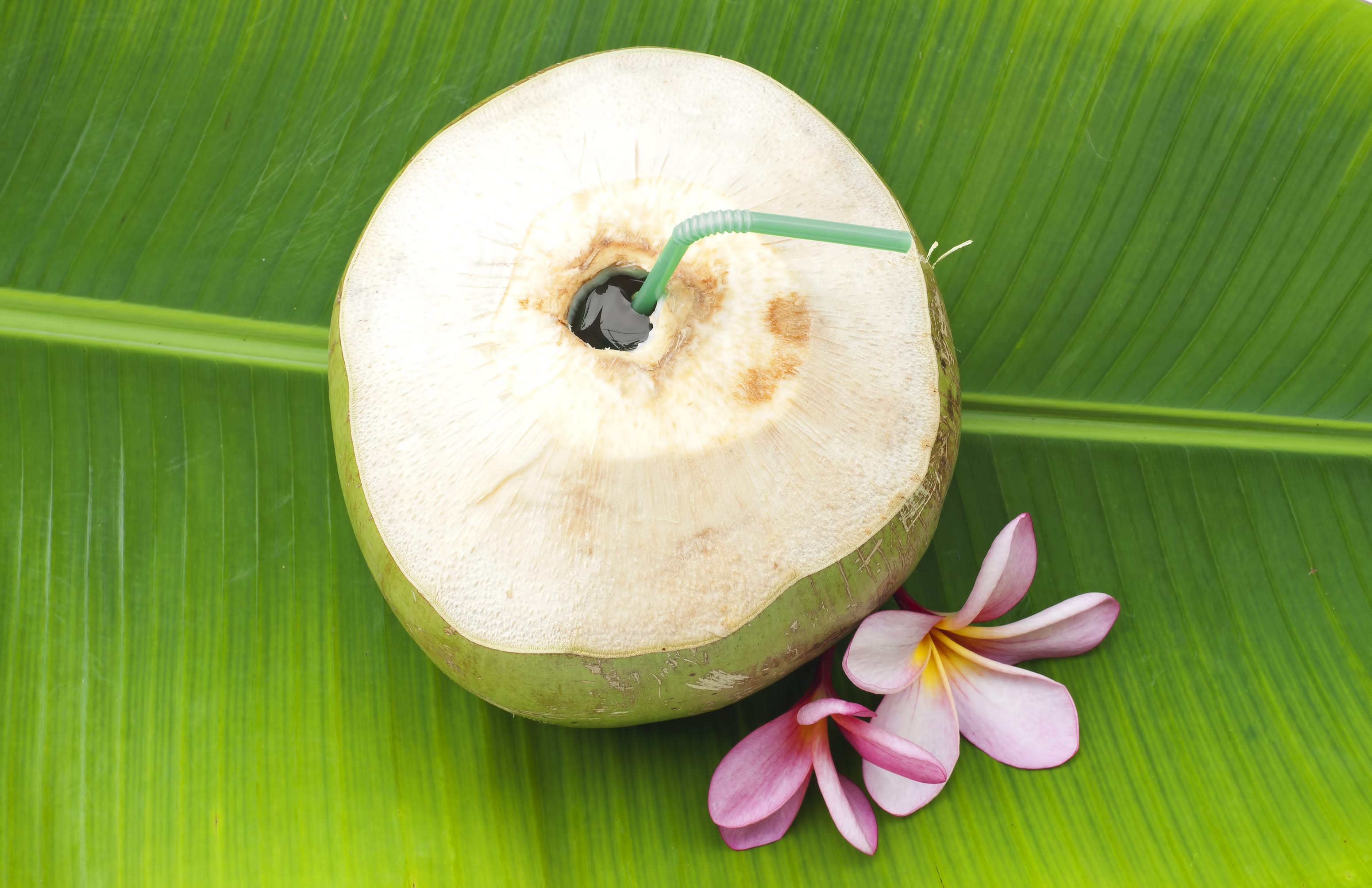 TENDER COCONUT - Logo