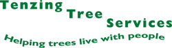 Tenzing Tree Services - Logo