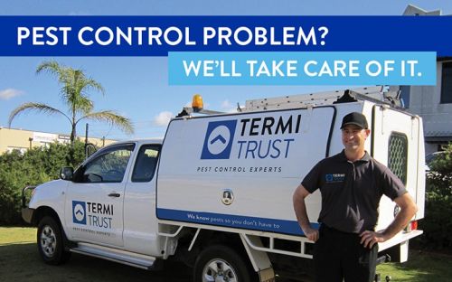 Termi Home & Commercial - Logo