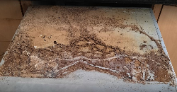 Termite control services - Logo
