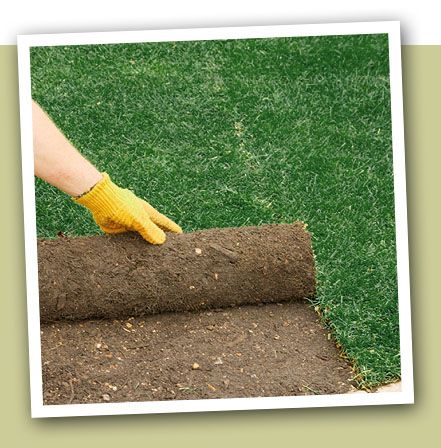 Terra Verde Landscaping - Cover photo