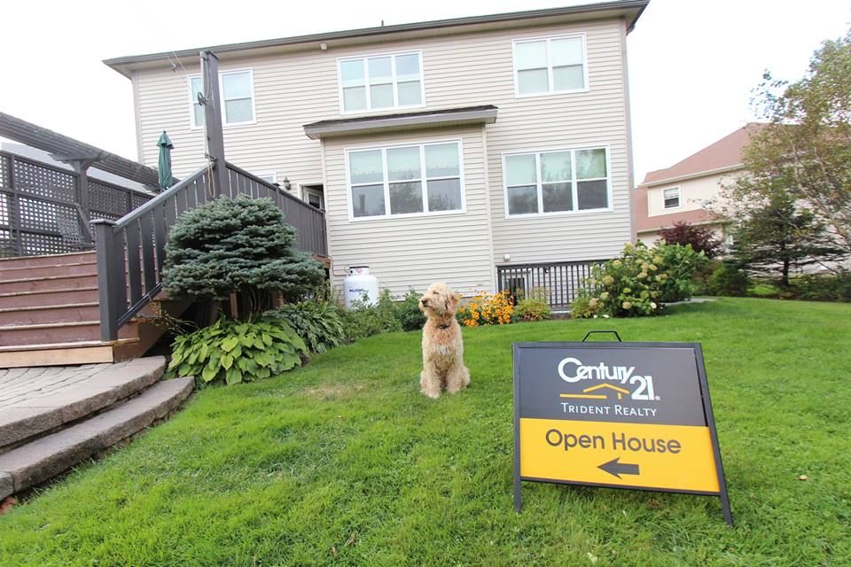 Terry Black - Century 21 Trident Realty LTD. - Logo