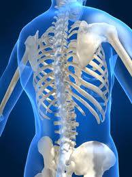Tewantin Physiotherapy & Sports Injury Centre - Logo