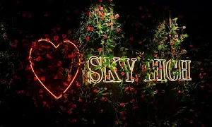 The Sky High - Cover photo