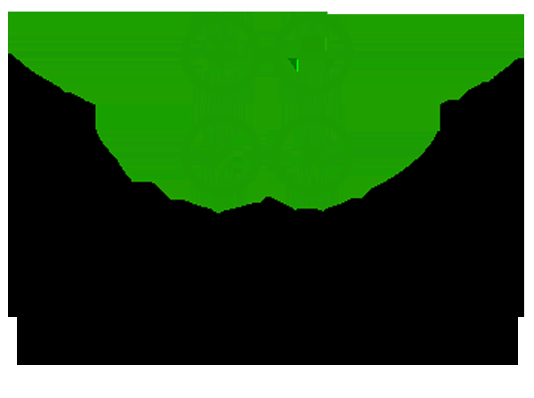 The Accounting Mudul - Logo
