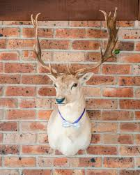 The Alps Deer Park - Logo