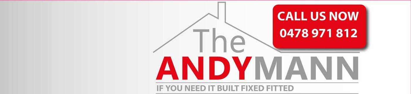 The Andy Mann - Cover photo