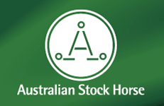 The Australian Stock Horse Society - Hinchinbrook Branc - Logo