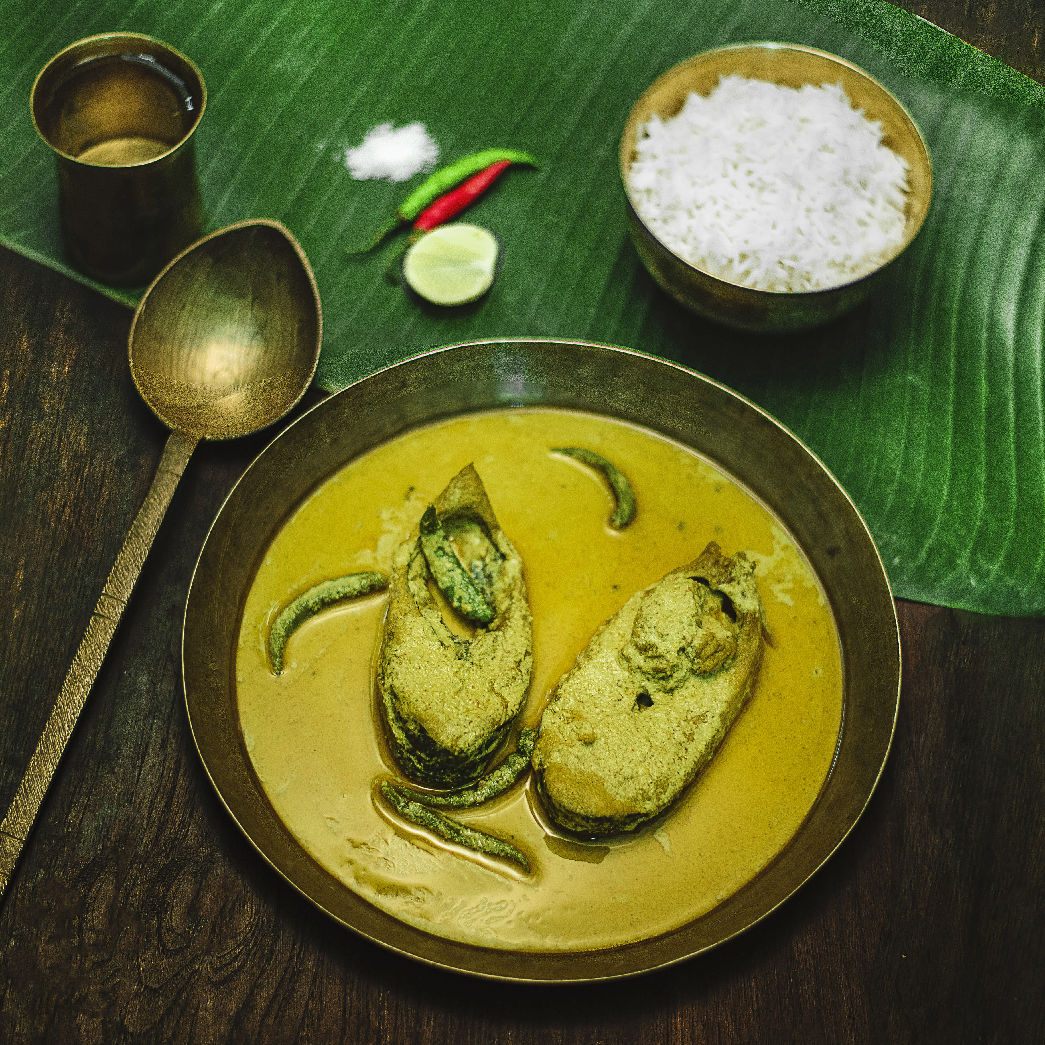 The Bhoj Company - Logo
