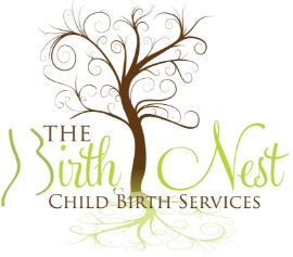 The Birth Nest - Logo