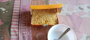 The Biryani Inc - Logo