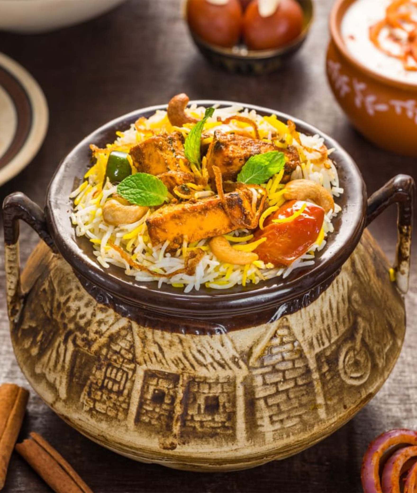 The Biryani Story - Logo