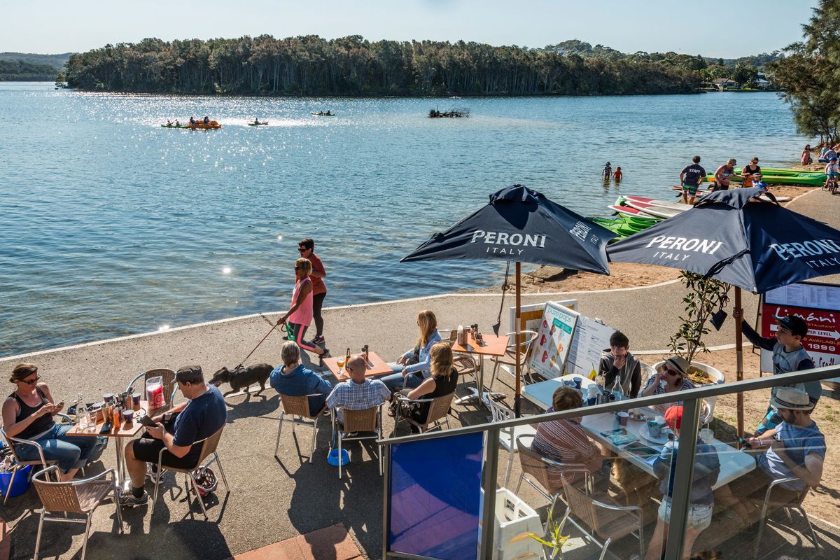 The BoatShed Cafe & Bar - Logo