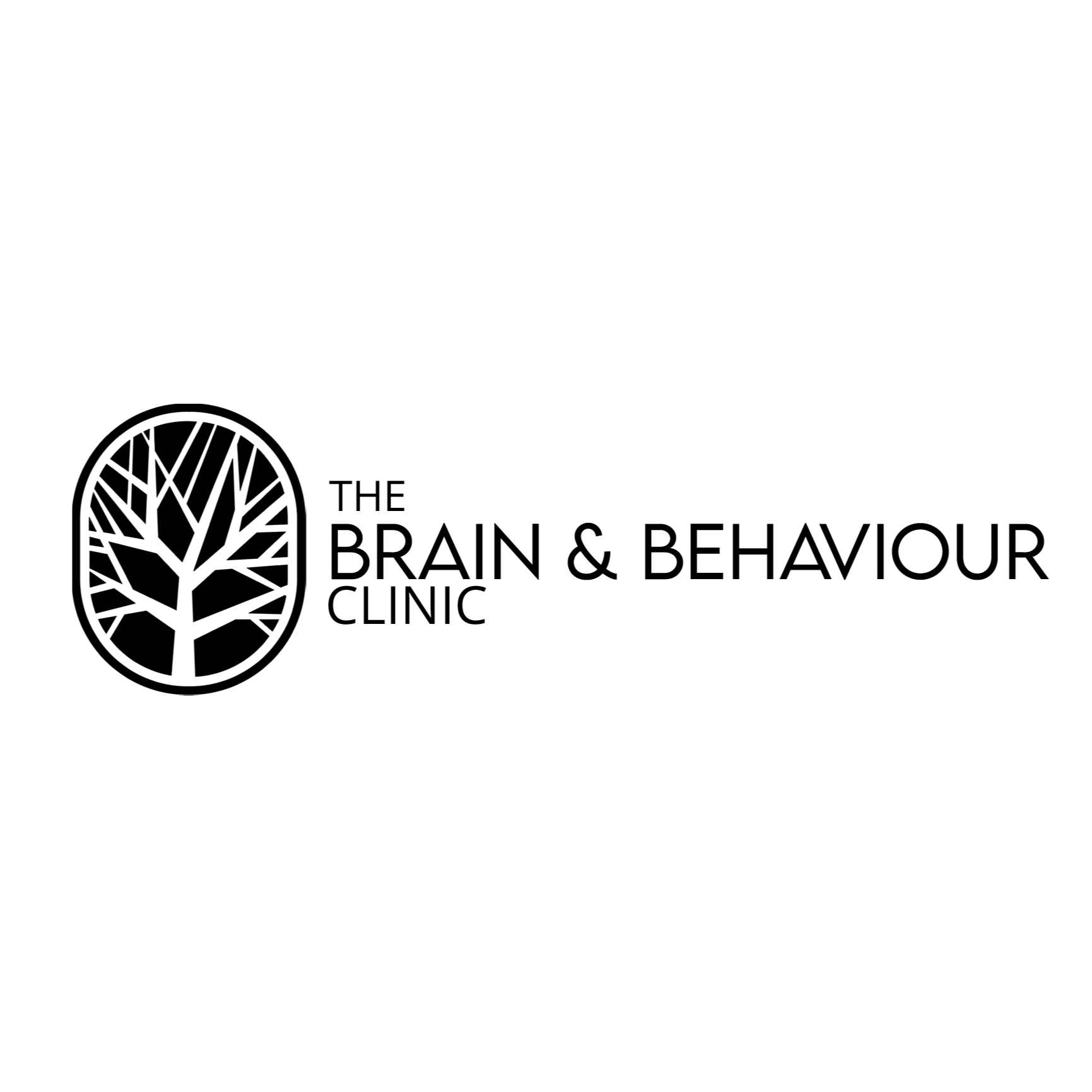 The Brain and Behaviour Clinic - Logo