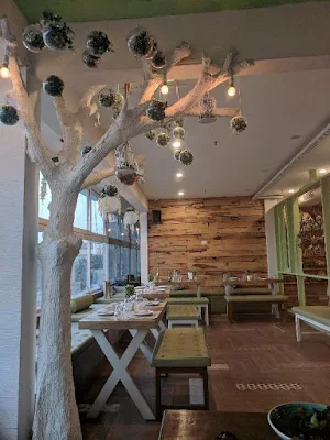 The Branch Cafe - Logo