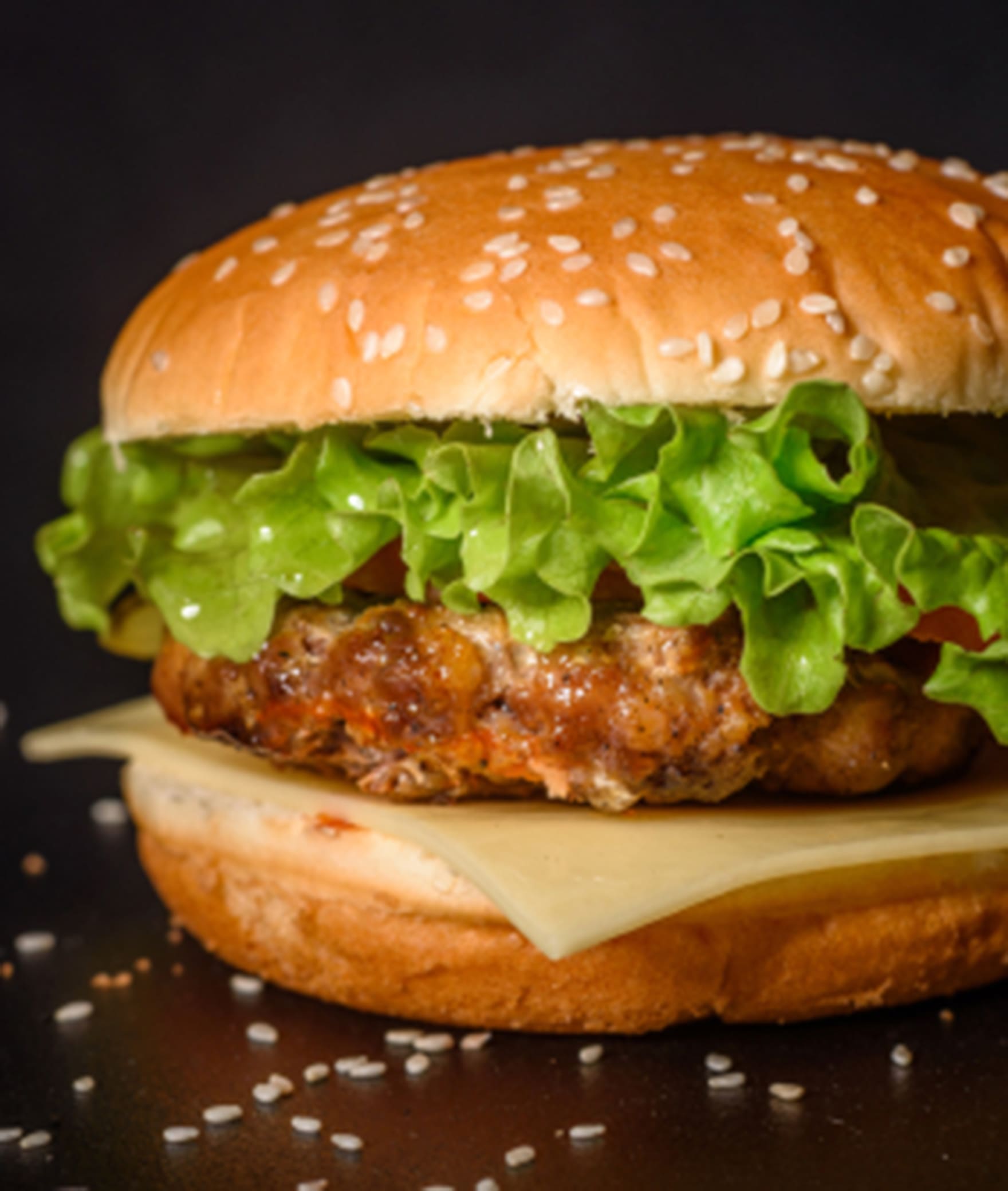 The Burgers Nation - Logo