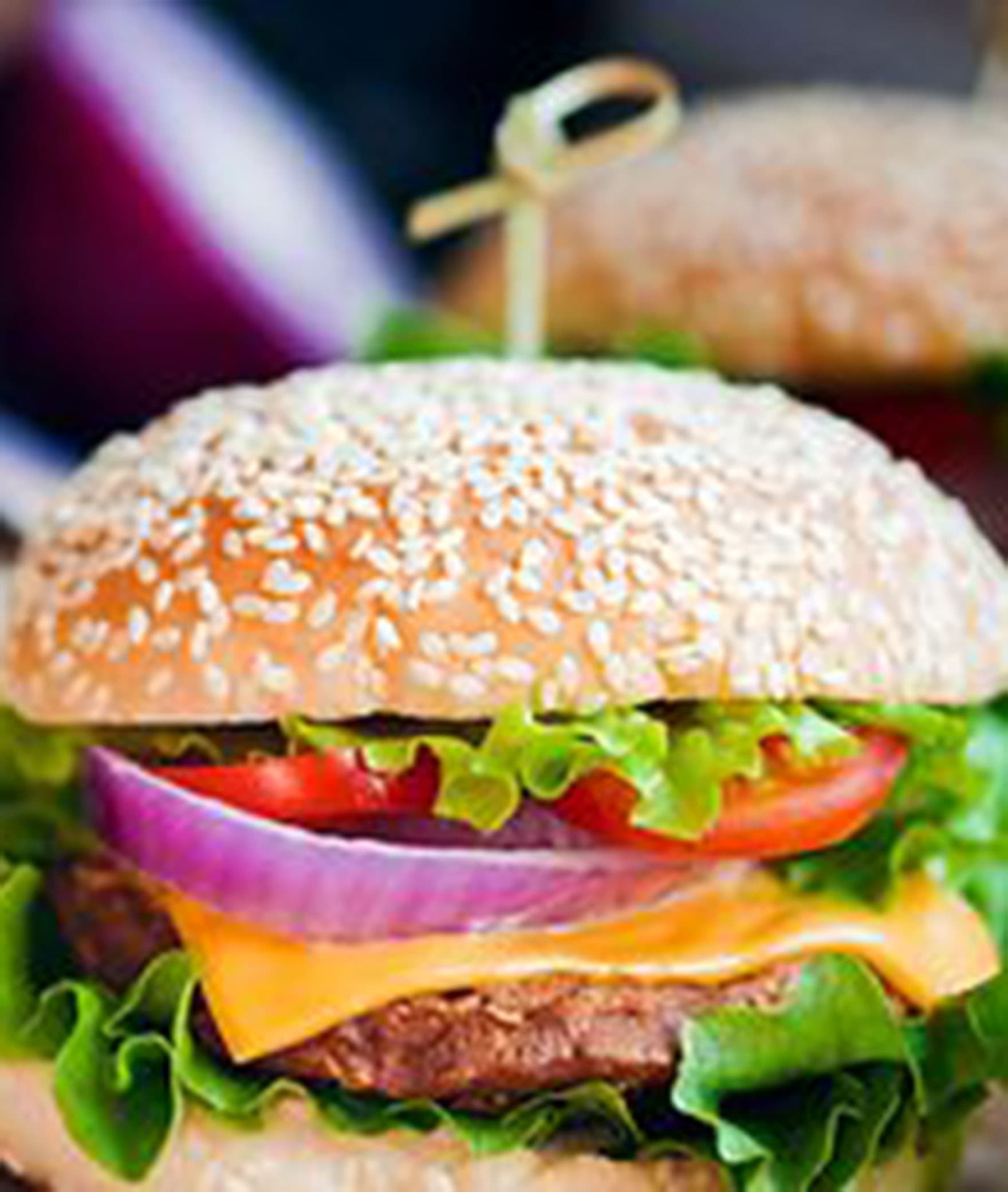 The Burger Store - Logo