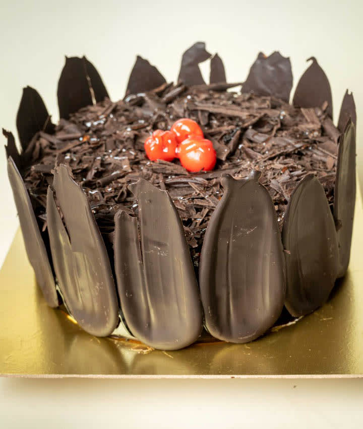 THE CAKES NEST - Logo