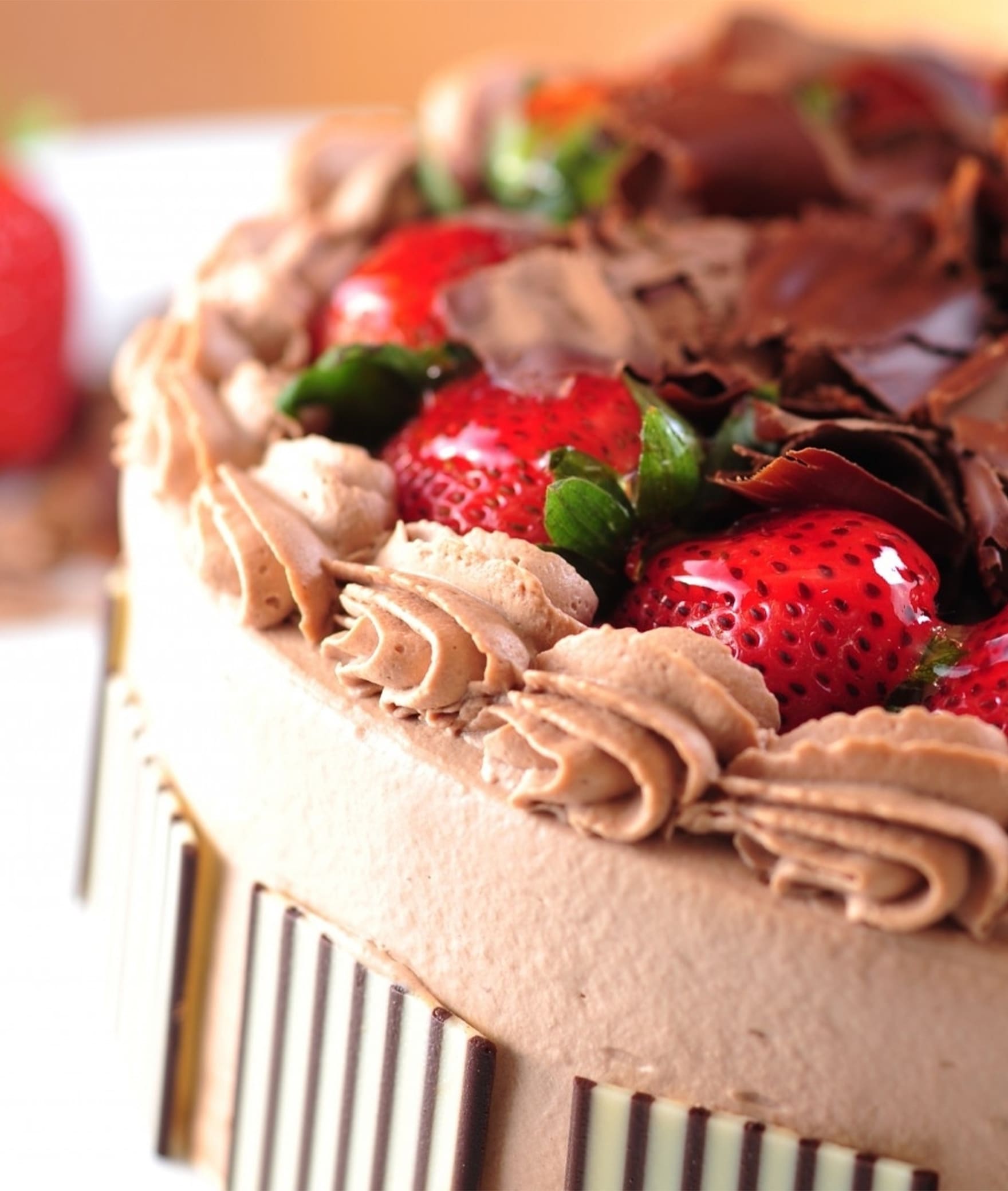 The Cake Story (Naraina Vihar) - Logo