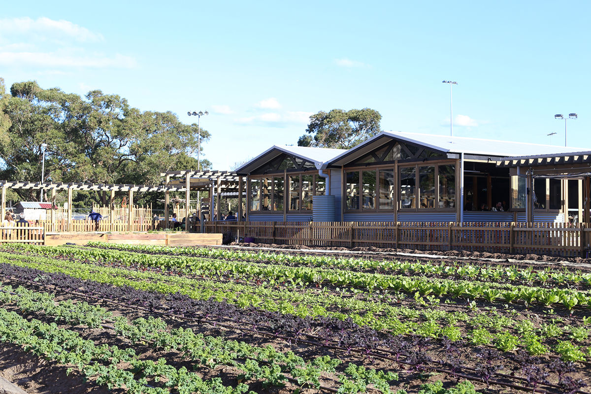 The Commons Container @ Camperdown Commons - Logo