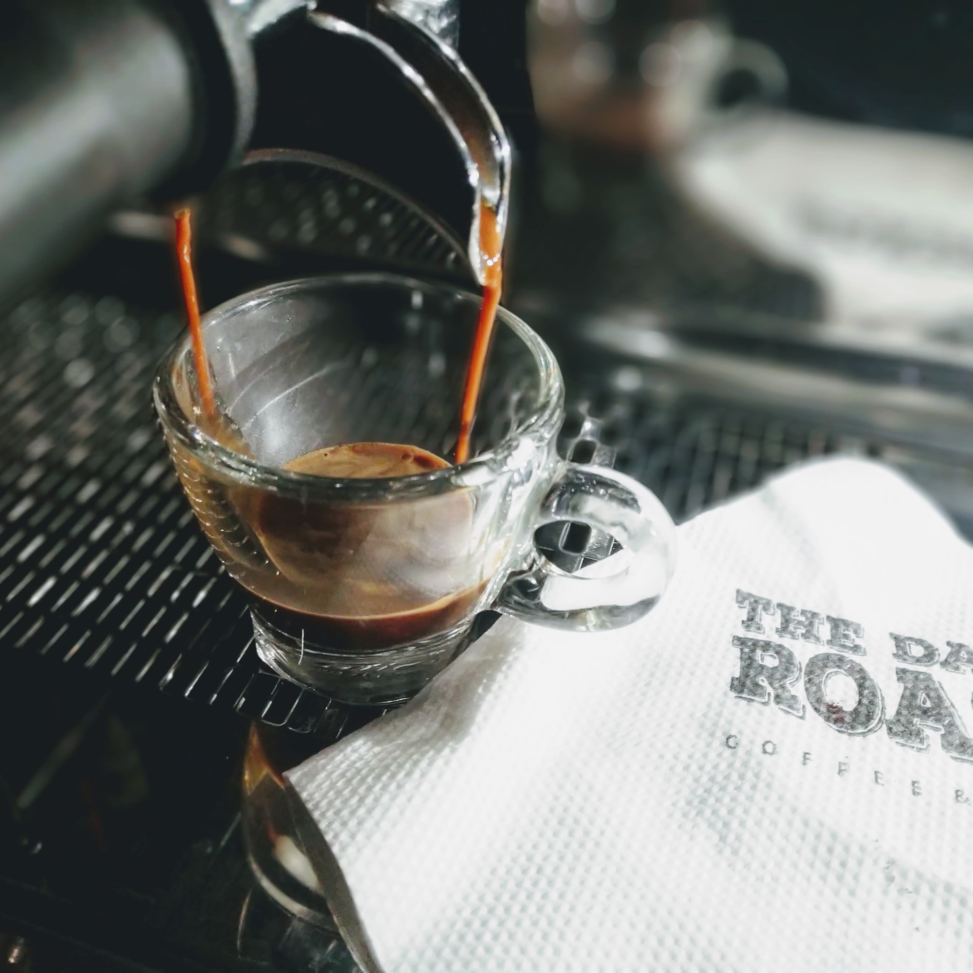 The Dark Roast - Logo