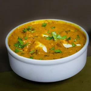 The Delhi Spice - Logo