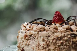 The Dessert Zone - Logo