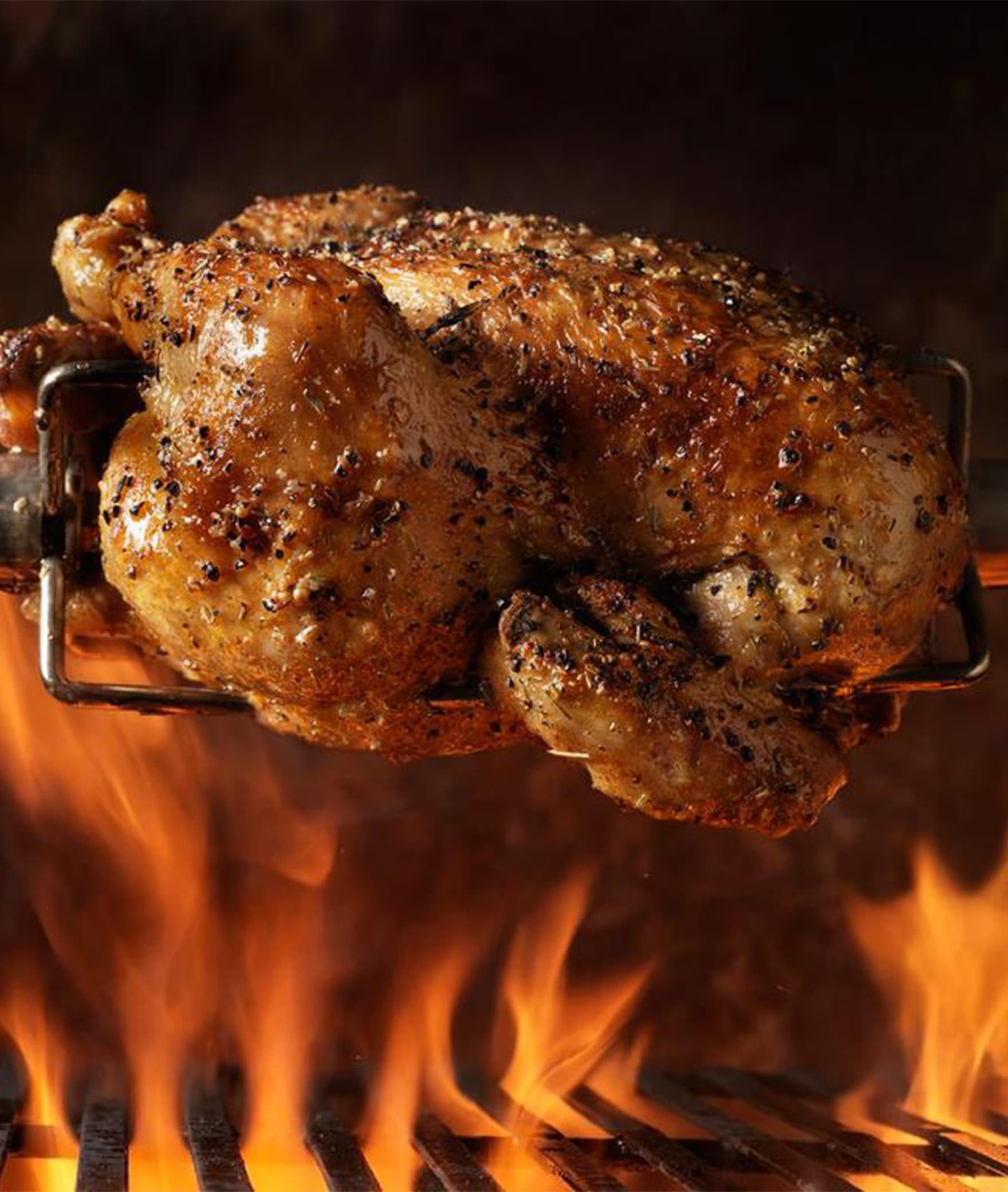The Dirty Bird Rotisserie - Logo