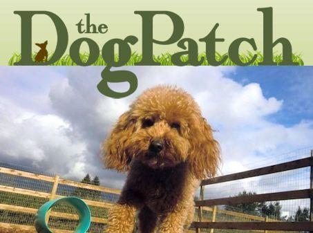The Dog Patch - Logo