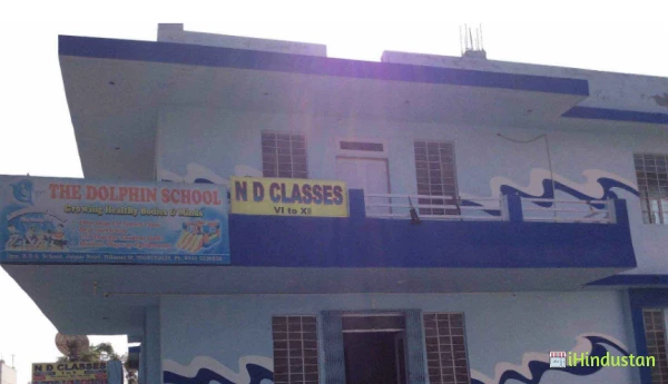The Dolphin School - Logo