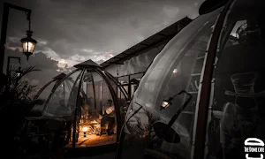 The Dome Cafe - Cover photo