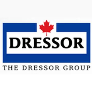 The Dressor Group Ltd - Logo