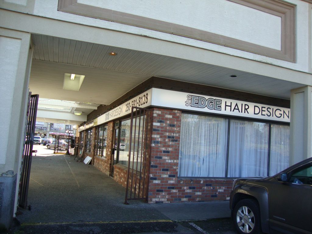 THE EDGE HAIR DESIGN - Logo