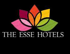 The Esse Hotel Hisar 235029 - Logo
