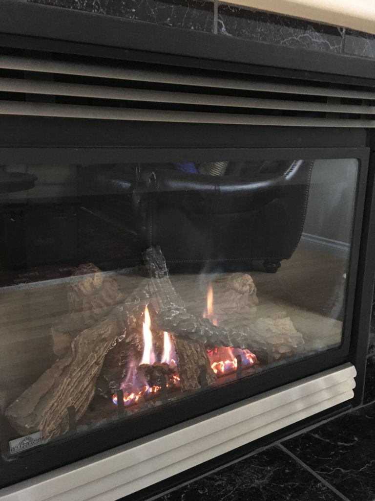 The Fireplace Guy - Logo