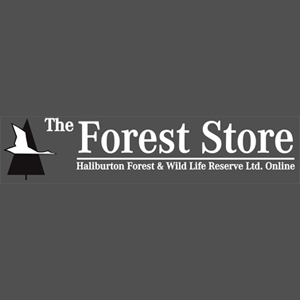 The Forest Store - Logo