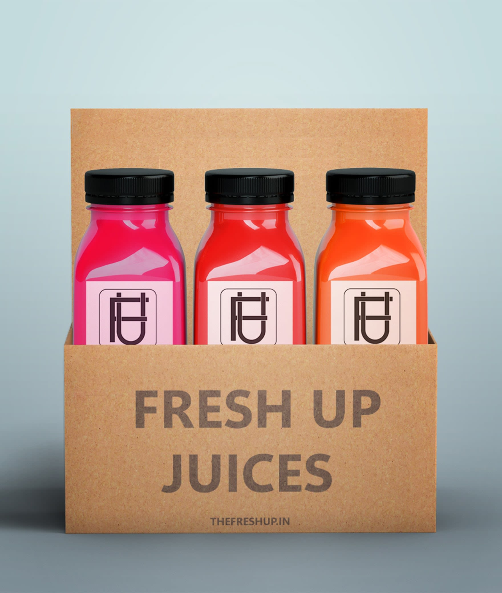 The Fresh Up Juices - Logo