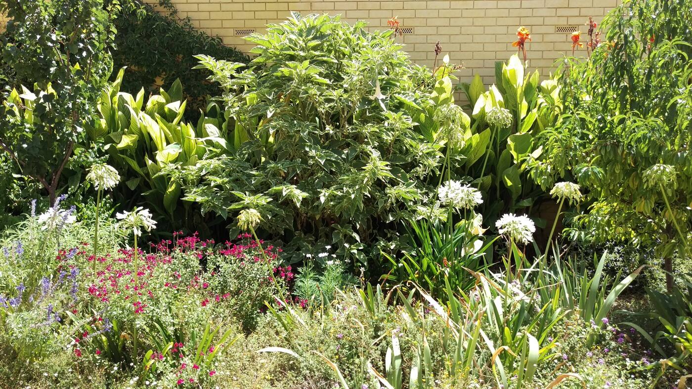 The Garden Butler Co. - Cover photo