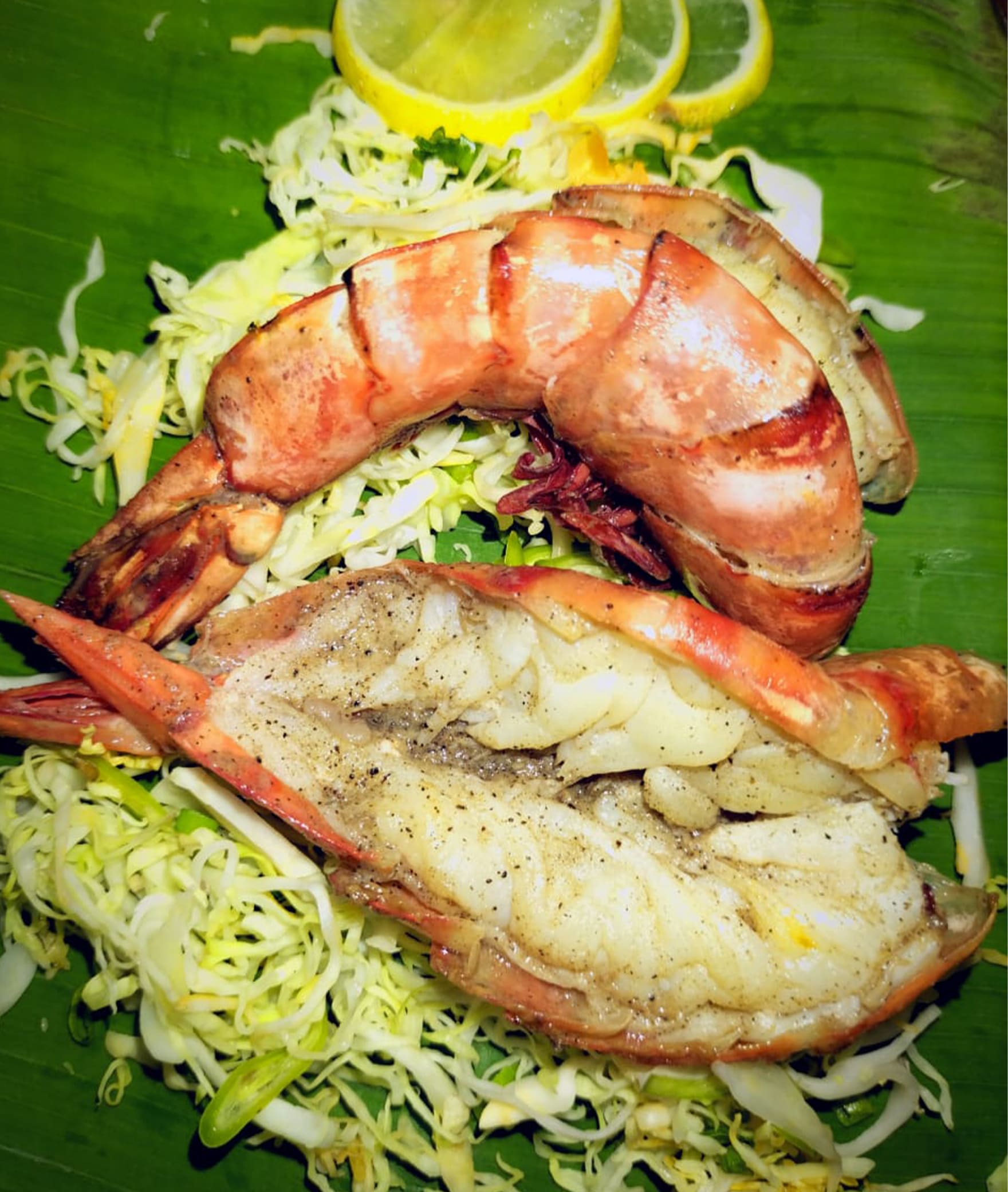 The Goan Feni Tales - Logo