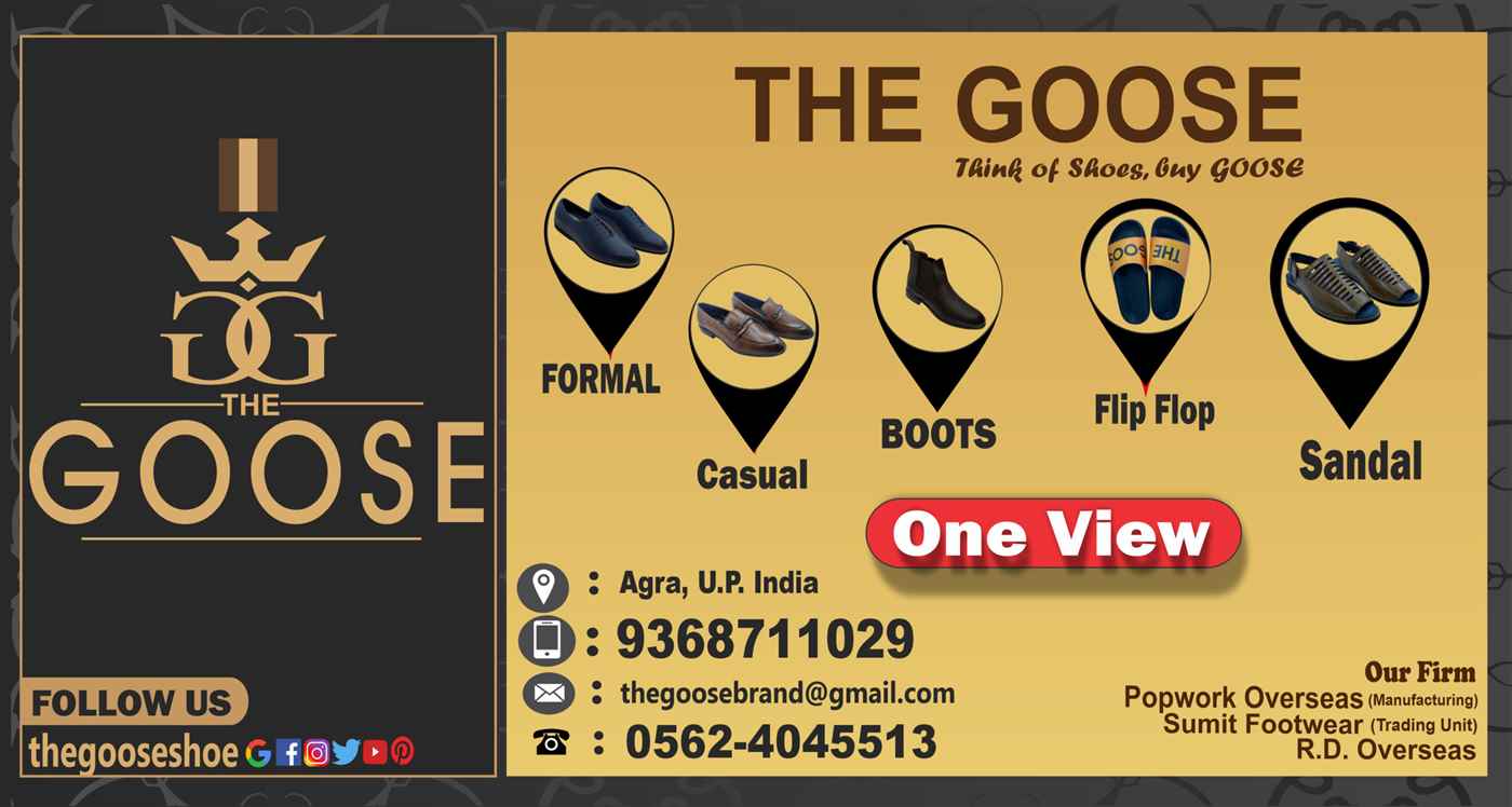 The Goose Shoe - Cover photo
