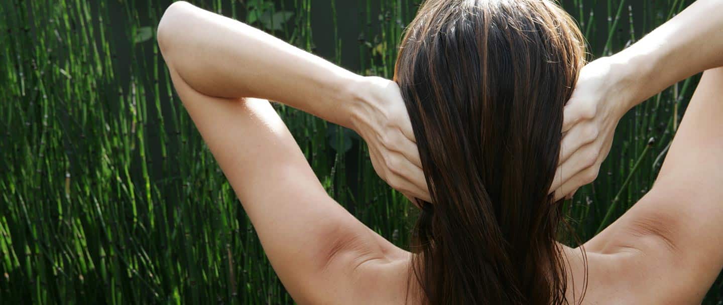 The Gordon - Cover photo