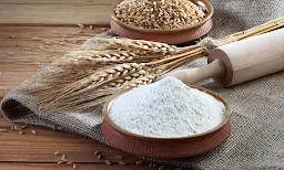 The Grain Store - Cover photo