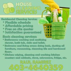 The Great Cleaning Company - Logo