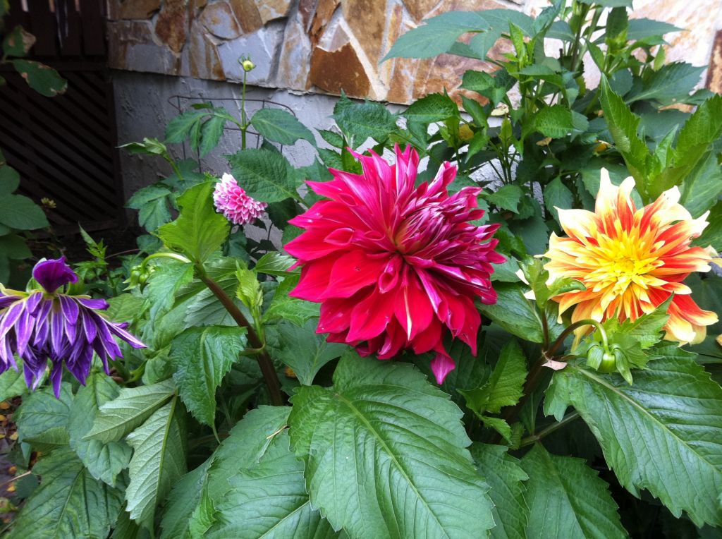 The Greenehouse at Farmington - Cover photo