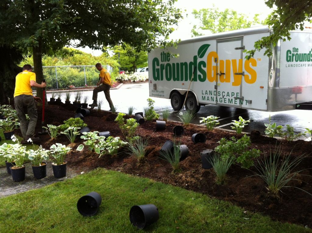 The Grounds Guys Landscape Management - Logo