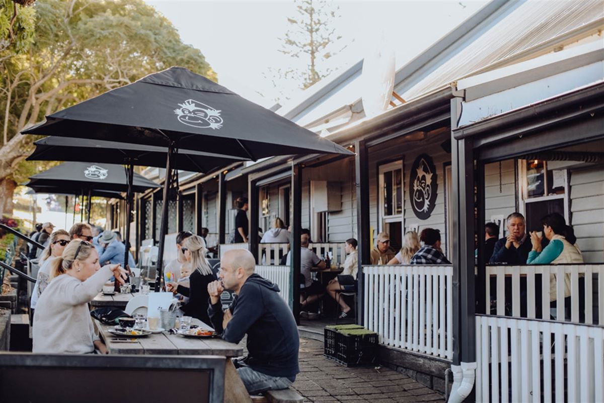 The Hungry Monkey Kiama - Logo