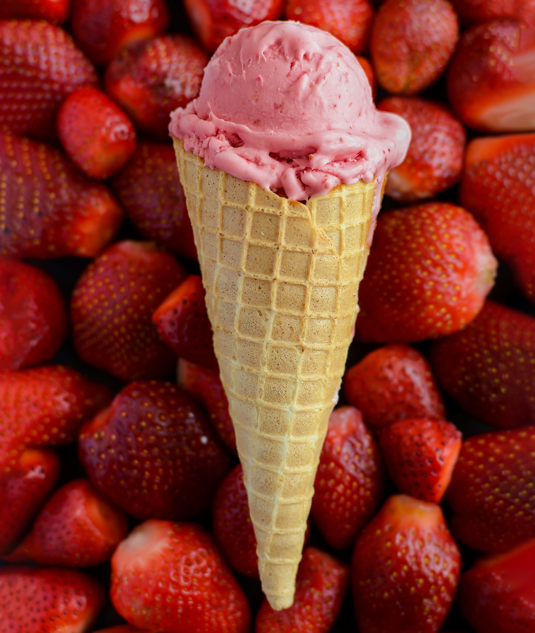 The Ice Cream Bakery - TiB - Logo