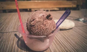 The Ice Cream Station - Logo