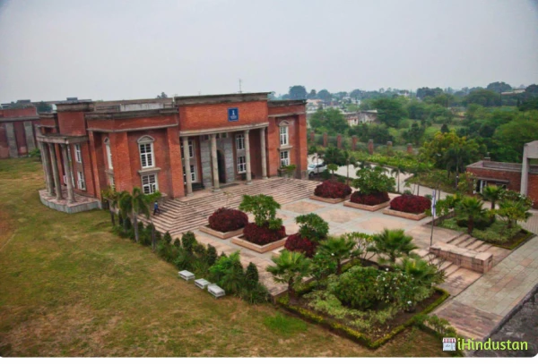 The Iconic School - Logo